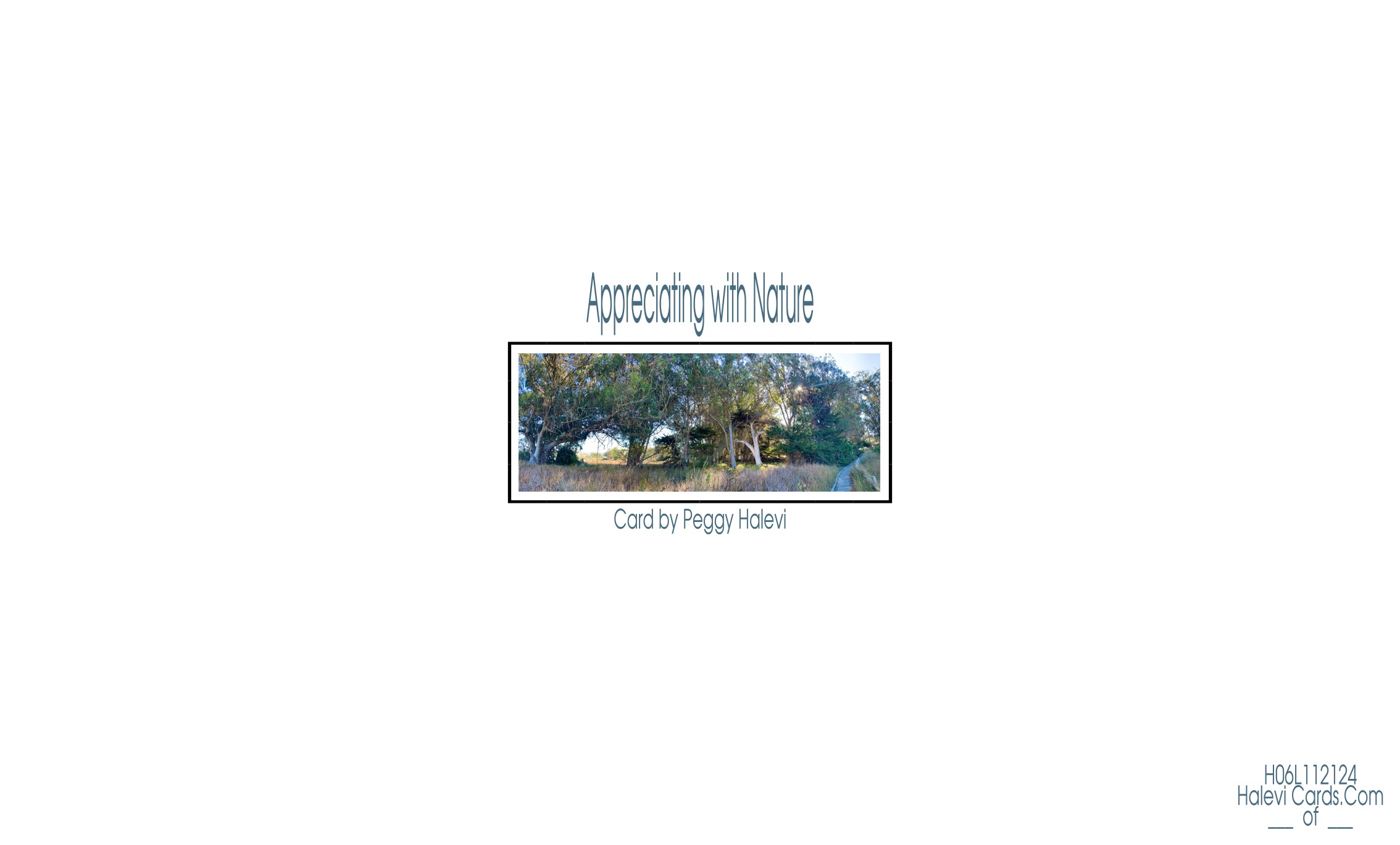 Law of Attraction Card - Image 2
