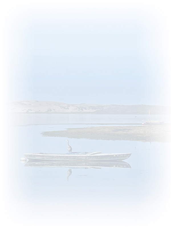 Law of Attraction Card - Image 3