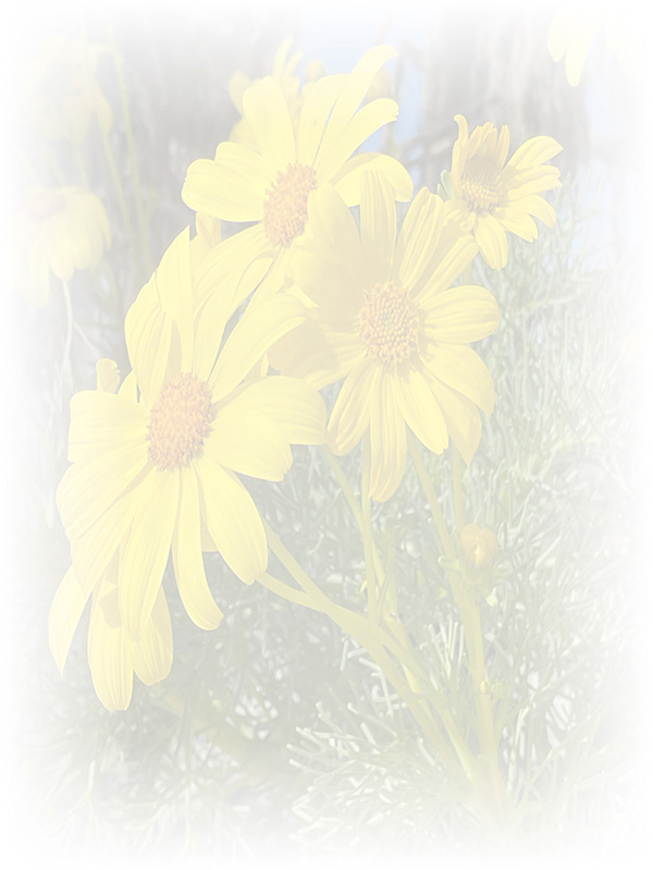 Law of Attraction Card - Image 3