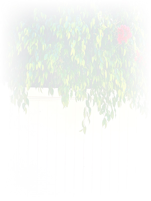 Law of Attraction Card - Image 3