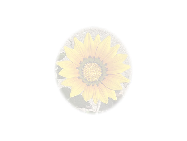 Law of Attraction Card - Image 3