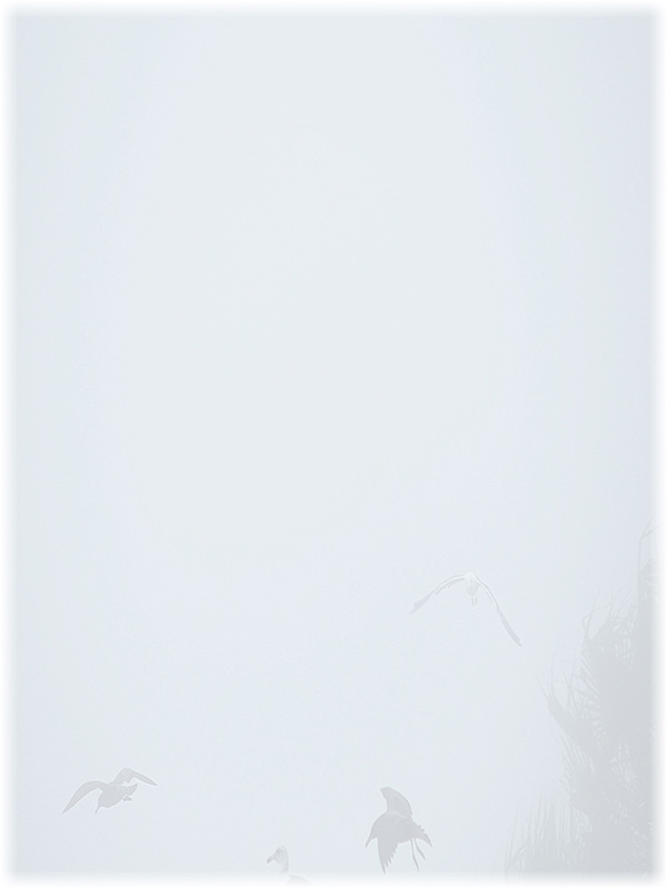 Law of Attraction Card - Image 3