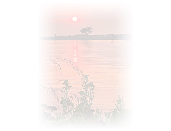 Law of Attraction Card - Image 3